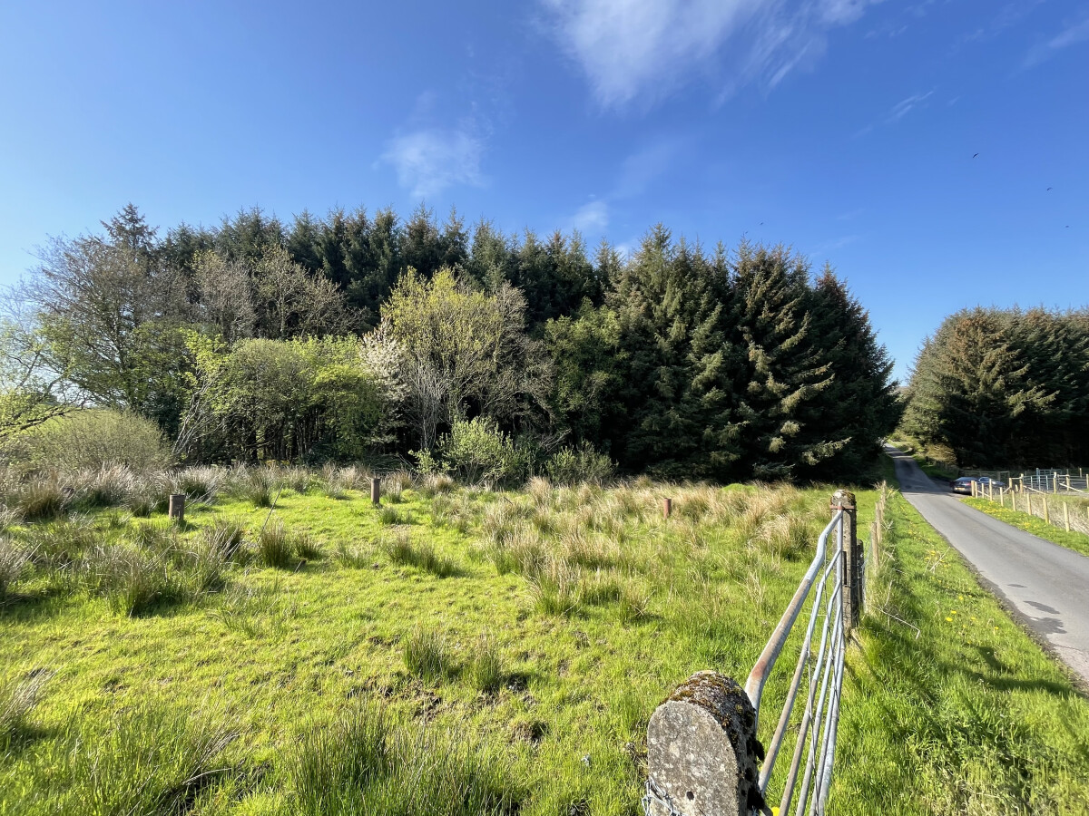 Lot 6: Site Approx. 180m NW of 163 Dooish Road, Drumquin, Omagh