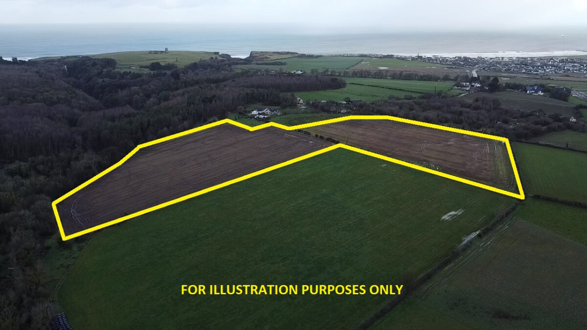 Lot 19: 15.5 Acres Ballymadigan Road, Coleraine, Londonderry