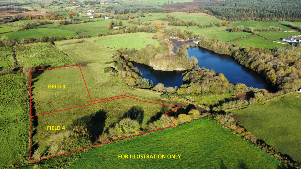 Lot 15: Field 3 Boleran Road, Garvagh, Londonderry