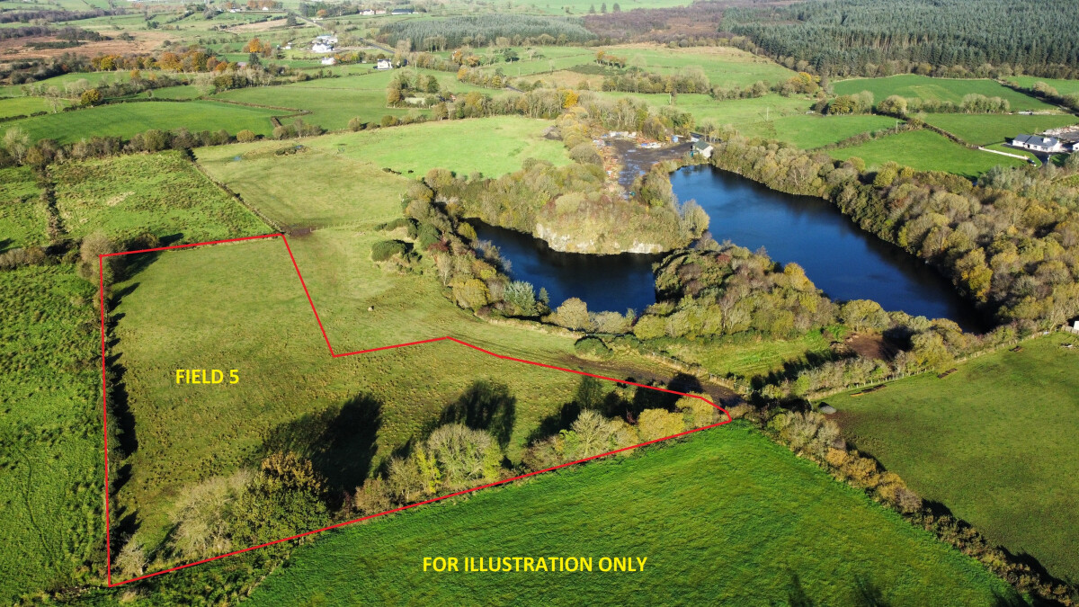 Lot 21: Field 5 Boleran Road, Garvagh, Londonderry