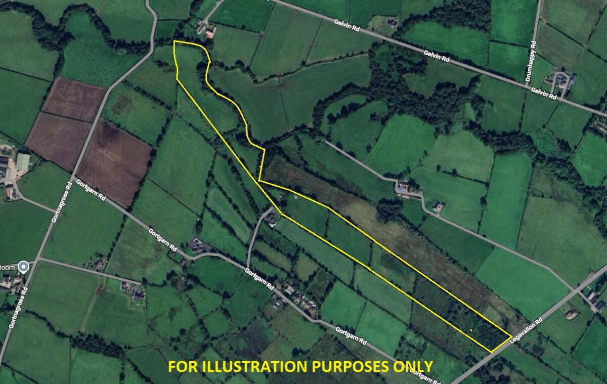 Lot 1: 25 Gortgarn Lane, Dungiven, Derry / Londonderry