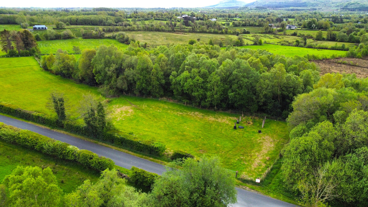 Lot 10: Site on Blunnick Road, Florencecourt, Enniskillen, Fermanagh
