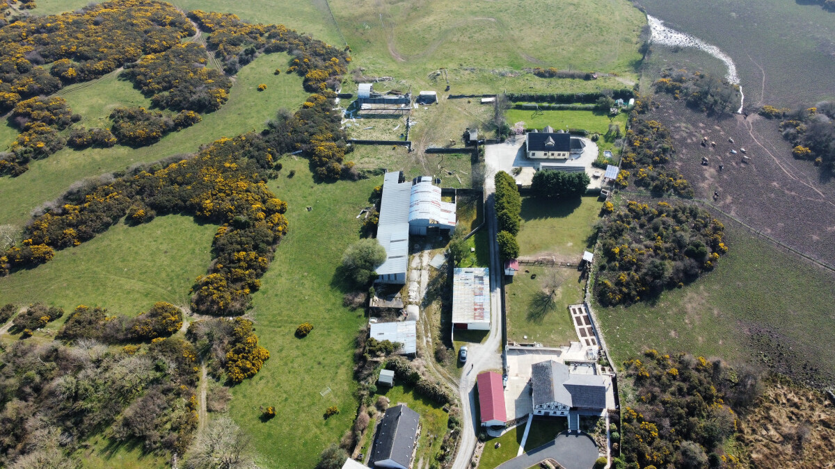 Lot 4: Farmyard at Ballytrustan Road, Downpatrick, County Down